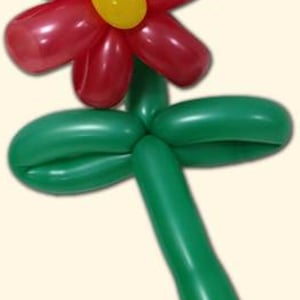 balloon-flower