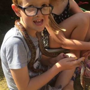 Meeting Cornelia the Corn Snake