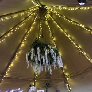 Fairy Lights_wisteria