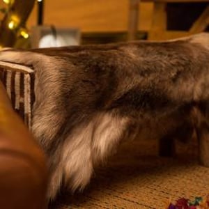 Reindeer skin throw