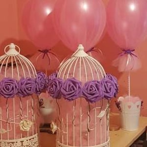 20604287_504933596518201_5586660029658314573_n[1]