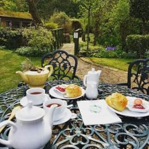 Cream Teas in the garden 