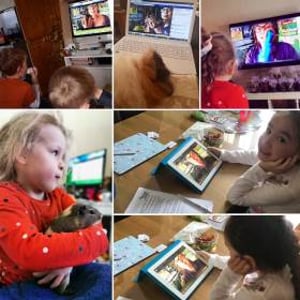 ZOOm, virtual animal encounters now available!