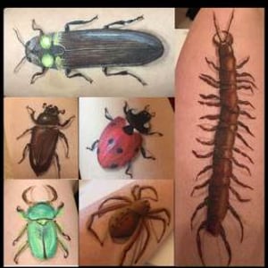 insects