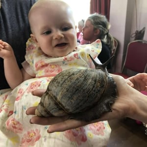 Slick the giant snail