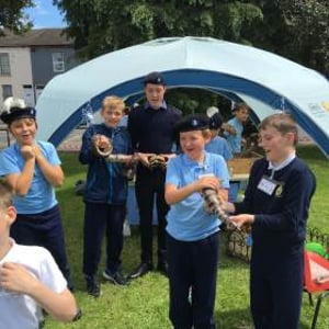 Some scouts meeting the animals