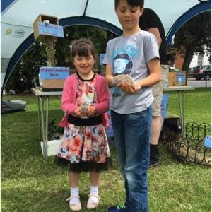 cute little hedgehogs!