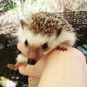 53681209_914358422235294_4843747460822073344_o (1)