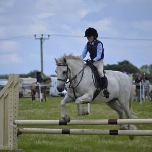 white-horse-jumping-child-white