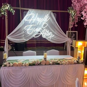 Neon Sign & Backdrop