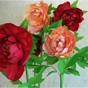 Giant paper peonies. 