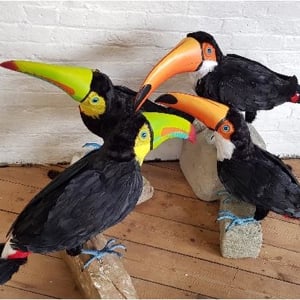 Life size toucans 