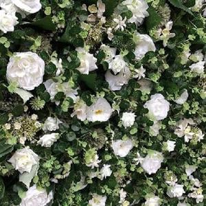 Greenery Flower Wall