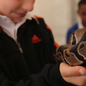 Countryside live event