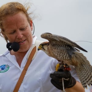 The owner, Charlotte Hill with one of her birds