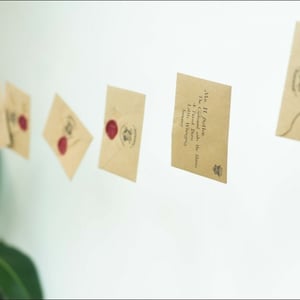 Harry Potter Floating Letters Decor