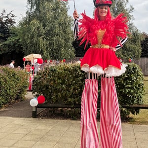 Traditional circus 