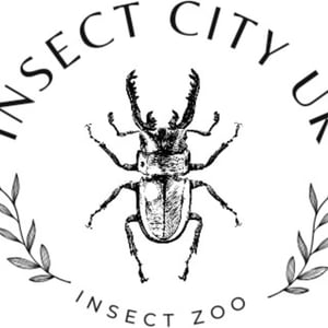 Insect City UK Logo