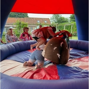 Hen Party Rodeo Bull Norwich