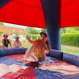 Hen Party Rodeo Bull Norfolk