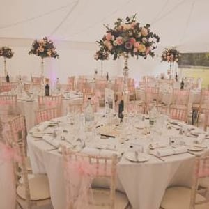 Pink Wedding Reception including flowers & chair sashes