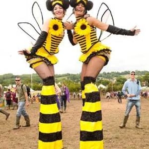 Bumble Bees!