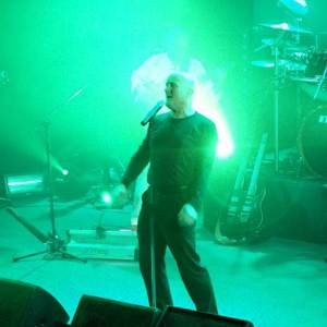 STILL COLLINS on STAGE