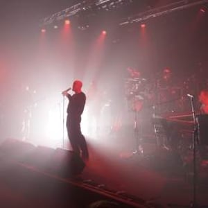 STILL COLLINS #1 Phil Collins Tribute Band