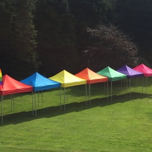 Multi colour row from above 2.jpg