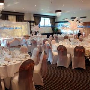 Ostrich Feathers With Backdrop and Chair Covers Full Set Up 