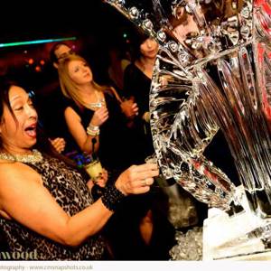 Vodka Luge Martini Glass 