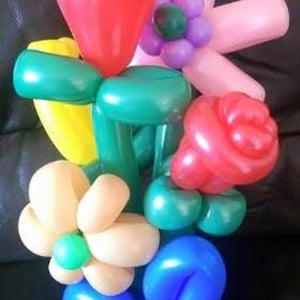 balloon flower_edited