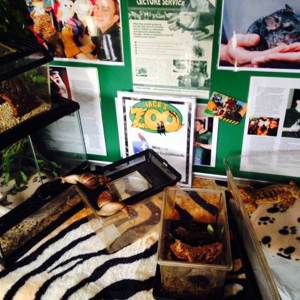 Some Our Reptiles at an Event