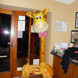 Giraffe in the Jungle