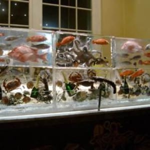 Seafood Display Ice Wall
