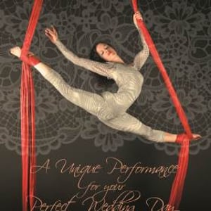 Aerial Silks- Weddings