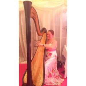 Wedding Harpist