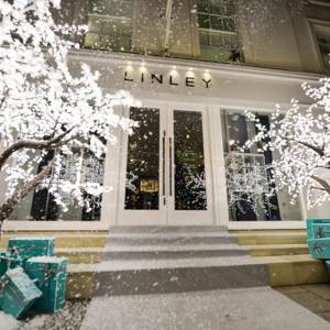 3m Grande in the Snow at the LINLEY Christmas Party