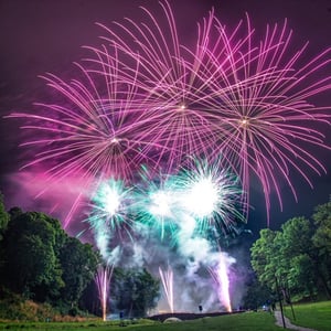 Wedding display - Gisburne Park