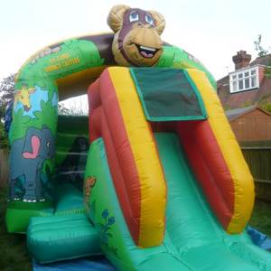 Jungle Slide Combi