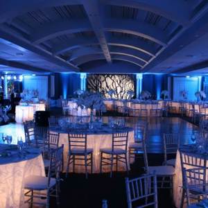 Wedding LED Mood Lights