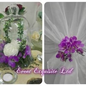 1486062_965340480214922_2509574977191728433_o