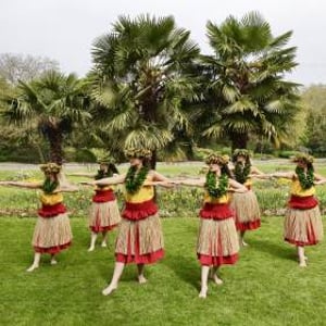 Star Dancers UK Polynesian Dancers - Hawaiian Hula