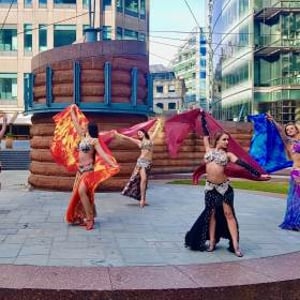 Star Dancers UK Belly Dancers
