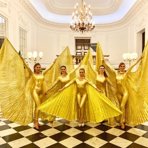 Star Dancers UK Showgirls Gold Theme
