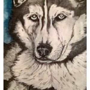 PicturesLab_AutoAdjust_FX_2017-03-23_11-37-11