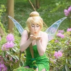 Tinker Fairy