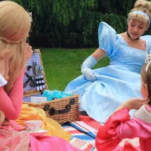 Princess Picnic