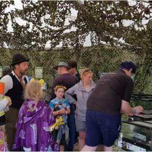 Professional displays and setups