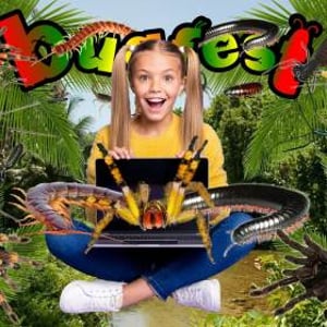 Bugfest virtual Zoom visits and parties